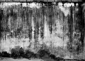 《荒野大镖客2》粉丝请愿R星 求开发一个单人付费DLC