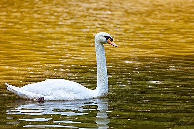 D3P社年末感谢促销开启 多款PS系名作最大90%优惠